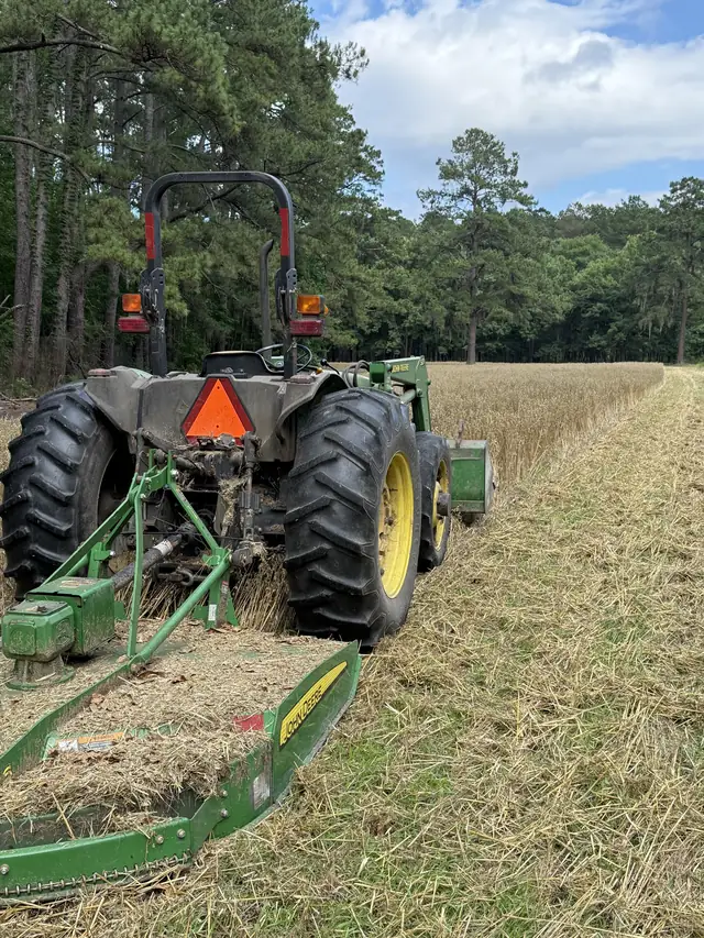Bush Hogging in Charleston, SC