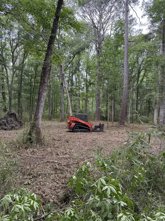 Forestry Mulching in Charleston, SC