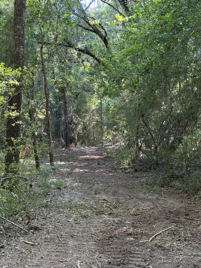 Trail Clearing in Charleston, SC