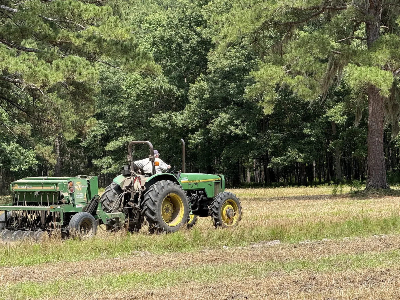Drilling a food plot with the tractor under live oaks